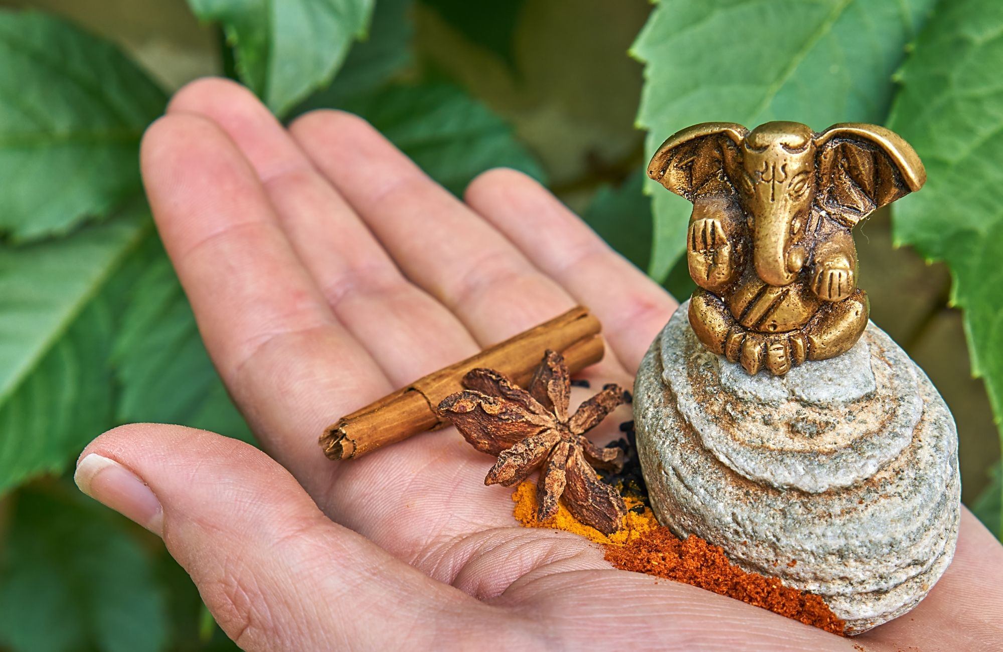 Ayurveda---ayurveda---Sapienza della vita